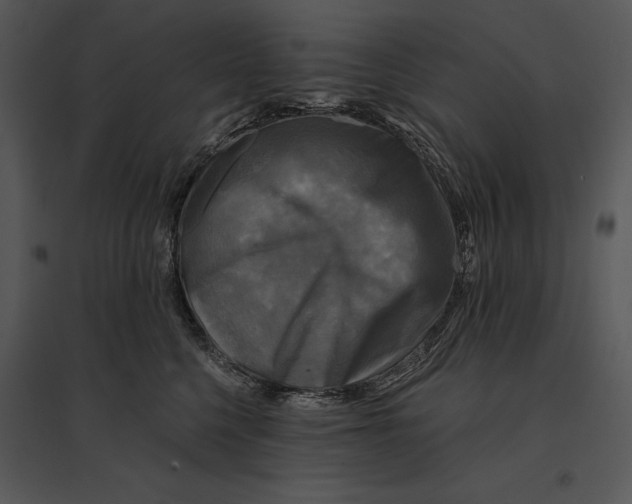 X0000095530568200801041249