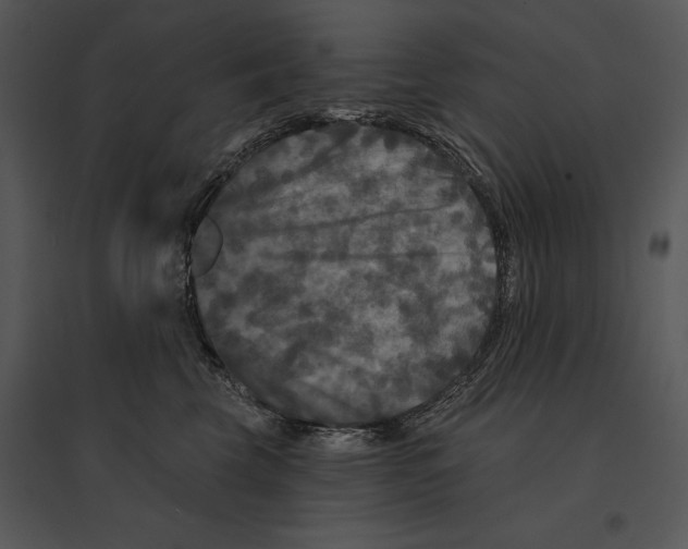 X0000095530569200801041249