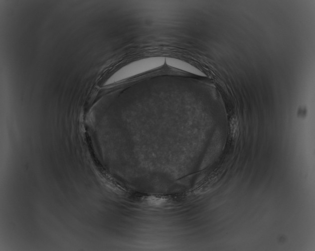 X0000095530570200801041249