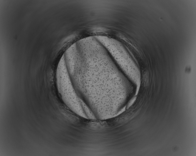 X0000095530571200801041249