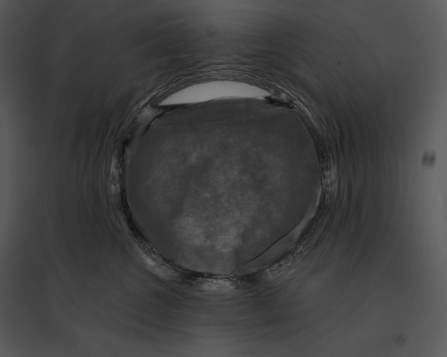 X0000095530572200801041249