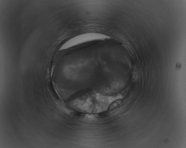 X0000095530573200801041249