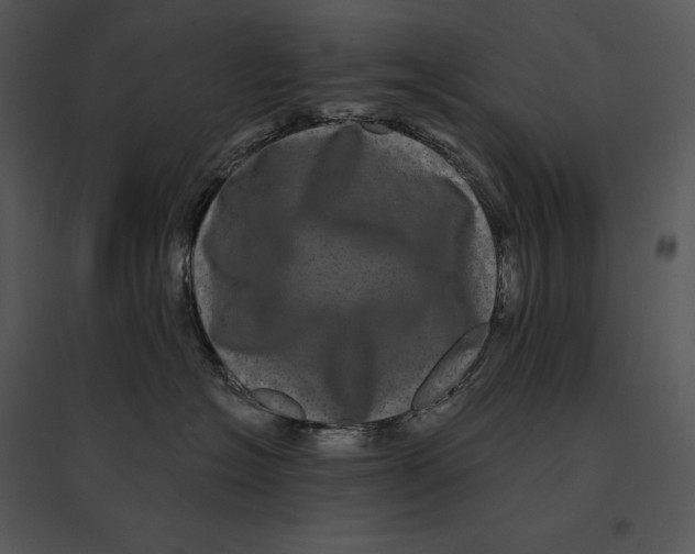 X0000095530574200801041249