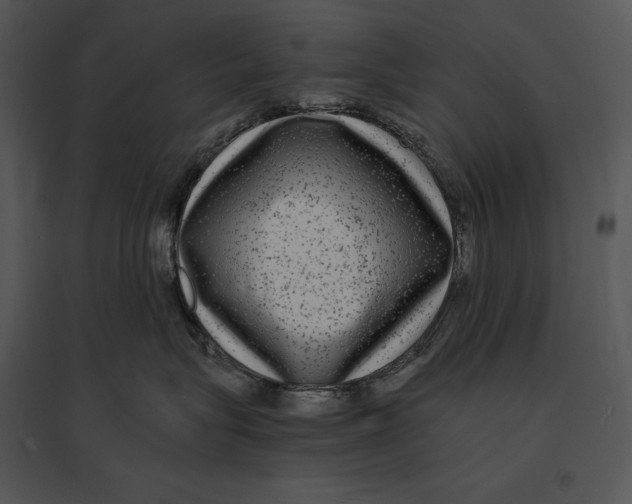 X0000095530575200801041249