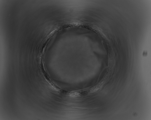 X0000095530576200801041249