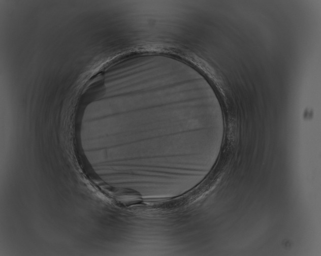 X0000095530577200801041248