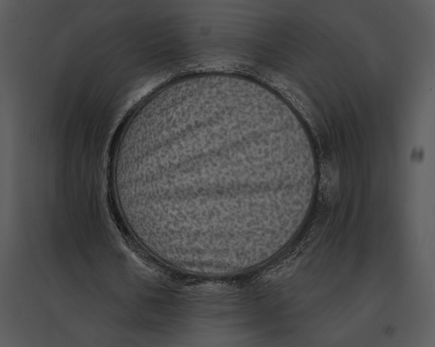 X0000095530578200801041248