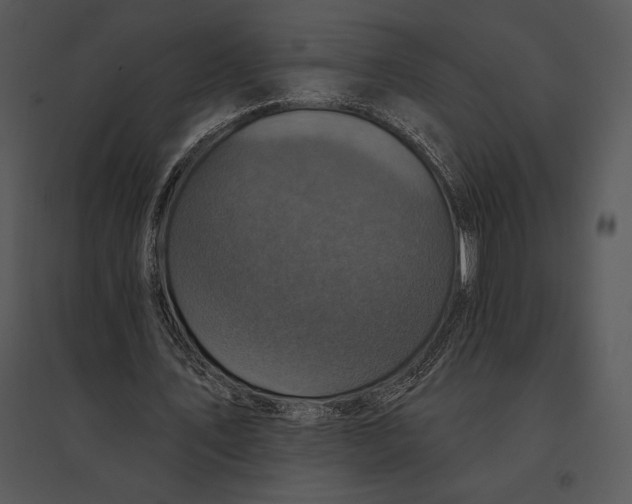 X0000095530579200801041248