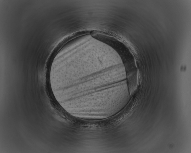 X0000095530580200801041248