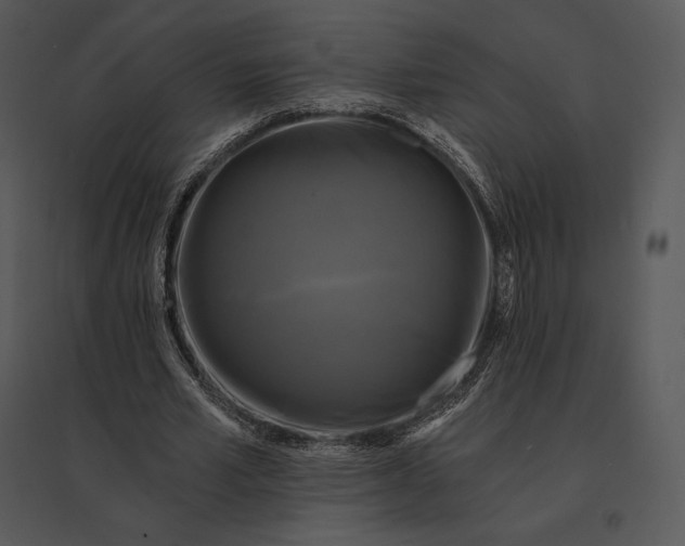 X0000095530581200801041248