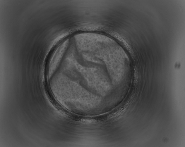 X0000095530582200801041248