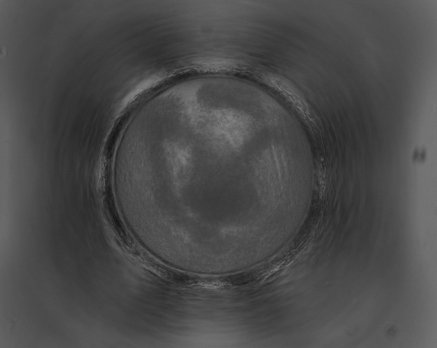 X0000095530583200801041248