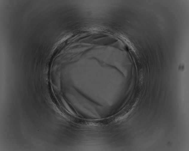 X0000095530585200801041248