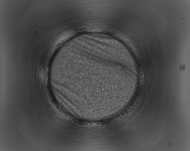 X0000095530586200801041248