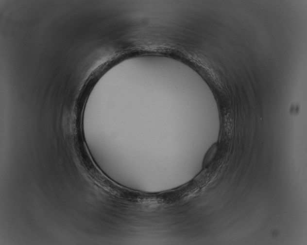 X0000095530587200801041248