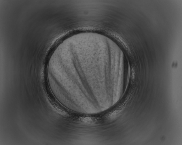 X0000095530588200801041248