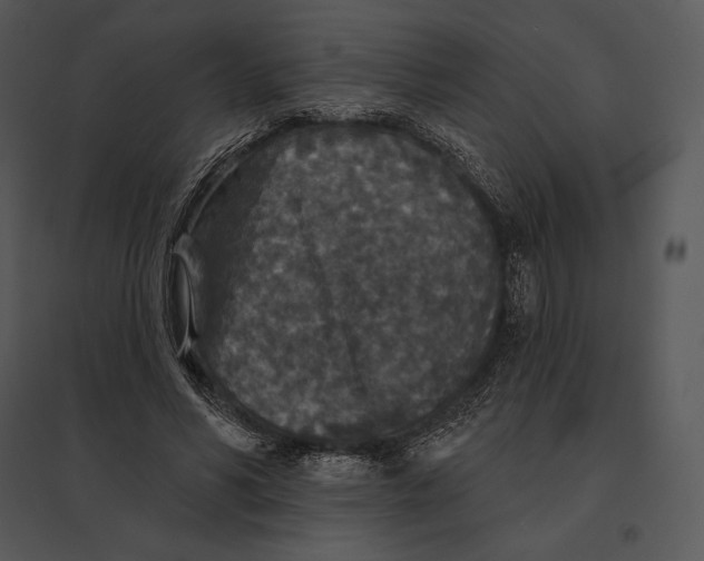 X0000095530590200801041248