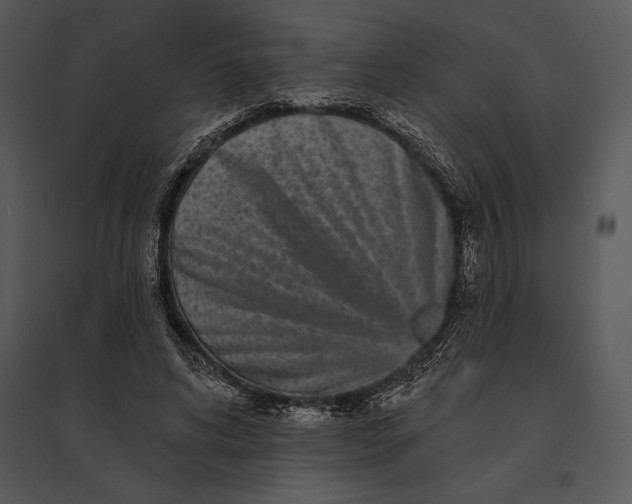 X0000095530592200801041248