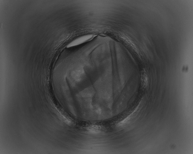 X0000095530593200801041248