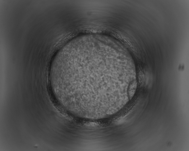 X0000095530594200801041248