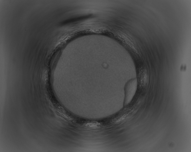 X0000095530595200801041248