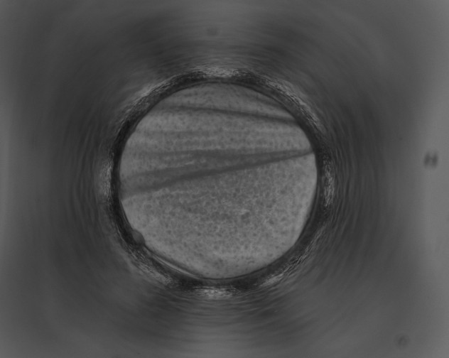 X0000095530596200801041248