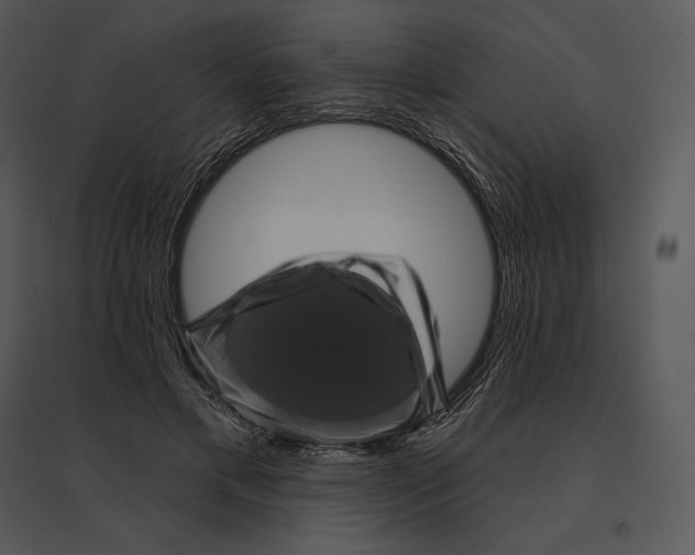 X0000095530597200801041248