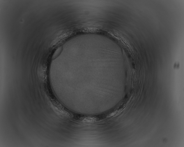 X0000095530599200801041248