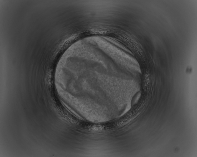 X0000095530600200801041248