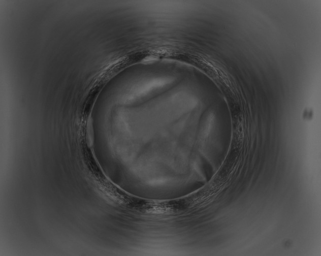 X0000095530601200801041248