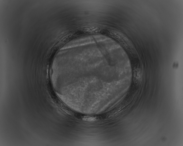 X0000095530602200801041248