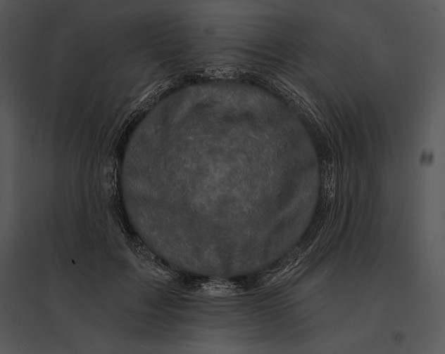 X0000095530603200801041248