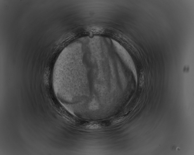 X0000095530604200801041248