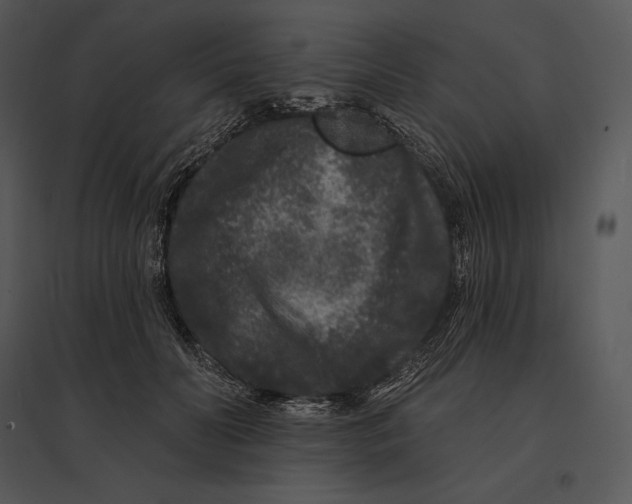 X0000095530606200801041248