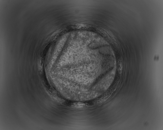 X0000095530607200801041248