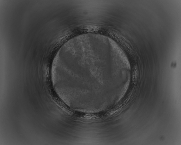 X0000095530608200801041248