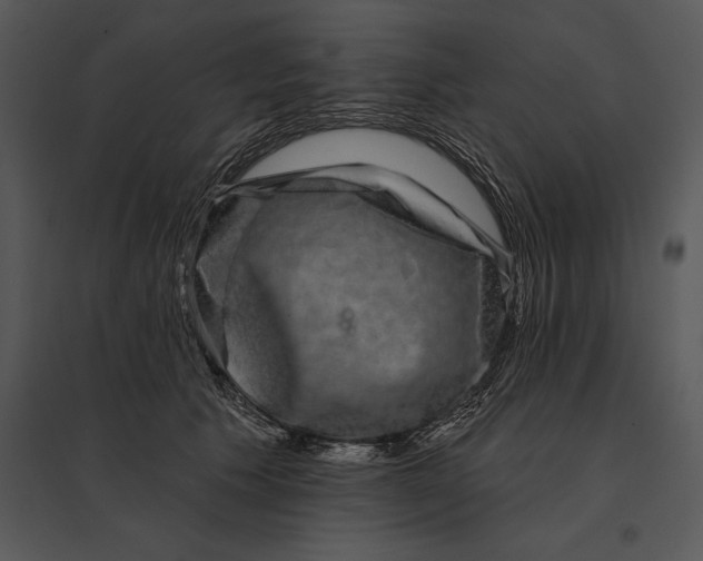 X0000095530609200801041248