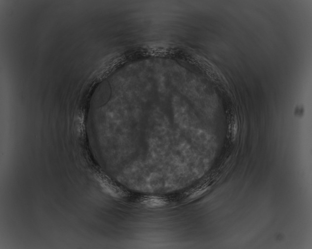 X0000095530610200801041248