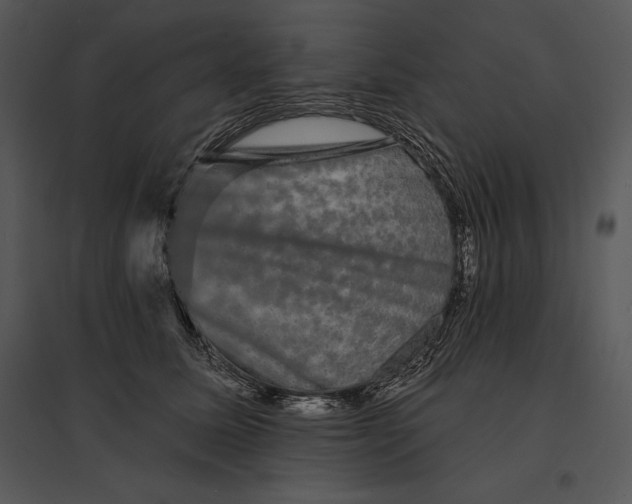 X0000095530611200801041248