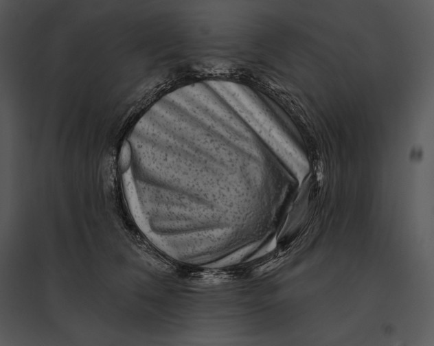 X0000095530612200801041248