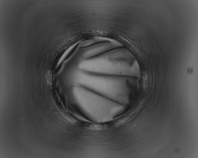 X0000095530613200801041248