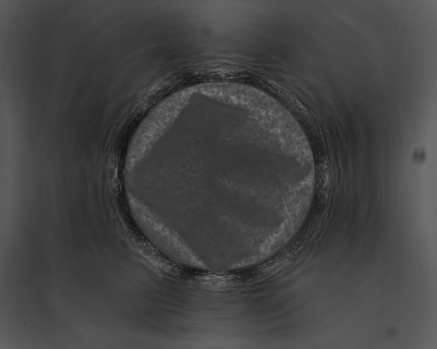 X0000095530615200801041247