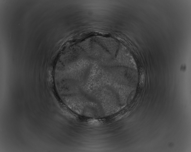 X0000095530616200801041247