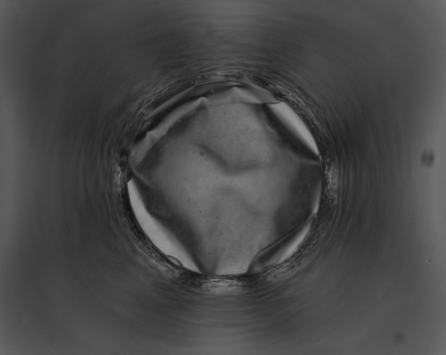 X0000095530617200801041247