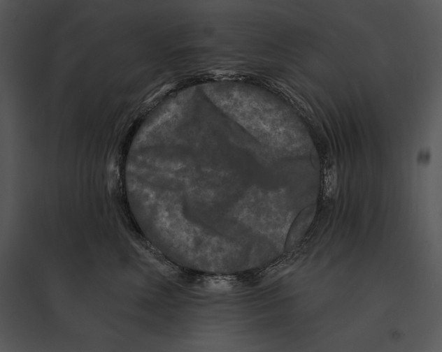 X0000095530618200801041247