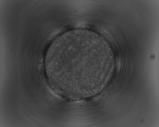 X0000095530619200801041247