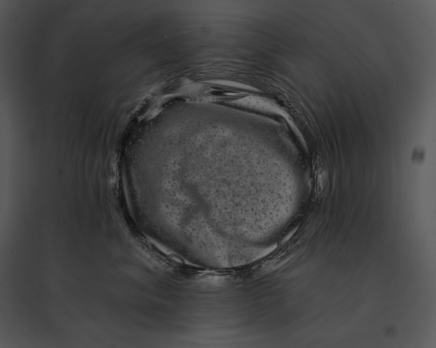 X0000095530620200801041247