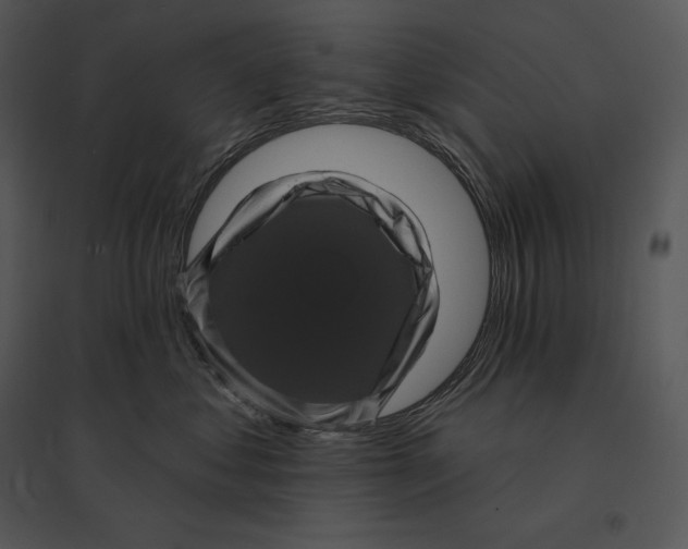 X0000095530621200801041247