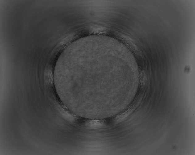 X0000095530622200801041247