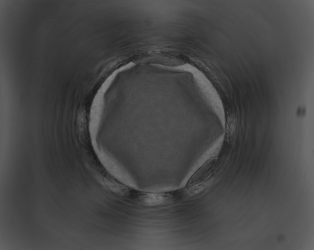 X0000095530623200801041247